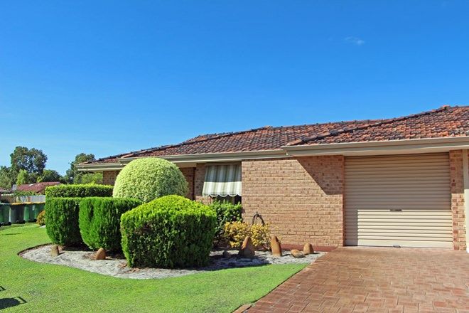 Picture of 3/2 Theakston Green, LEEMING WA 6149