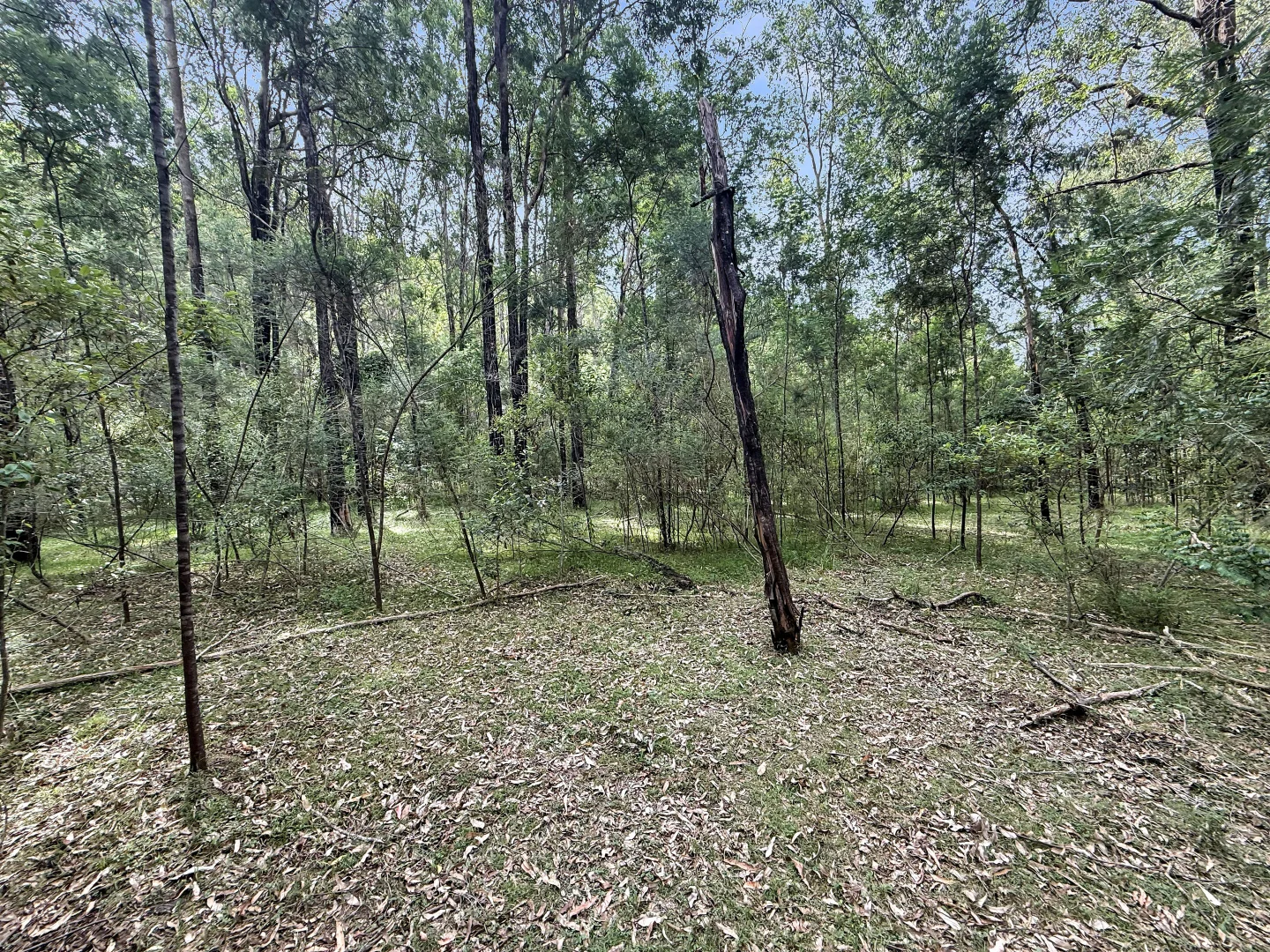 Additional image 11 of 112 Finchley Track, Laguna NSW 2325