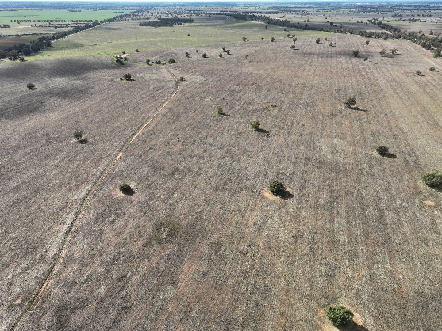 'Weemala' 2075 The McGrane Way, Tullamore NSW 2874 Farm for Sale