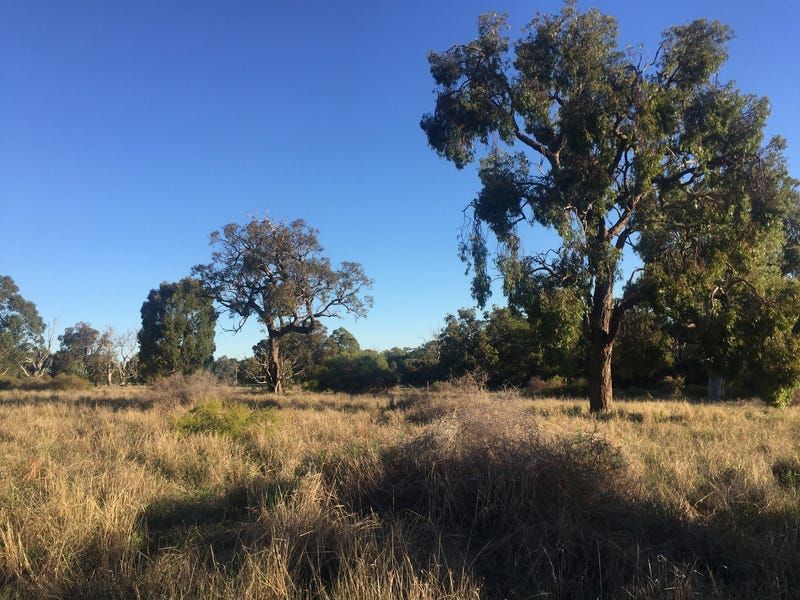 Lot 851 Grasshill Road, Karnup WA 6176, Image 0