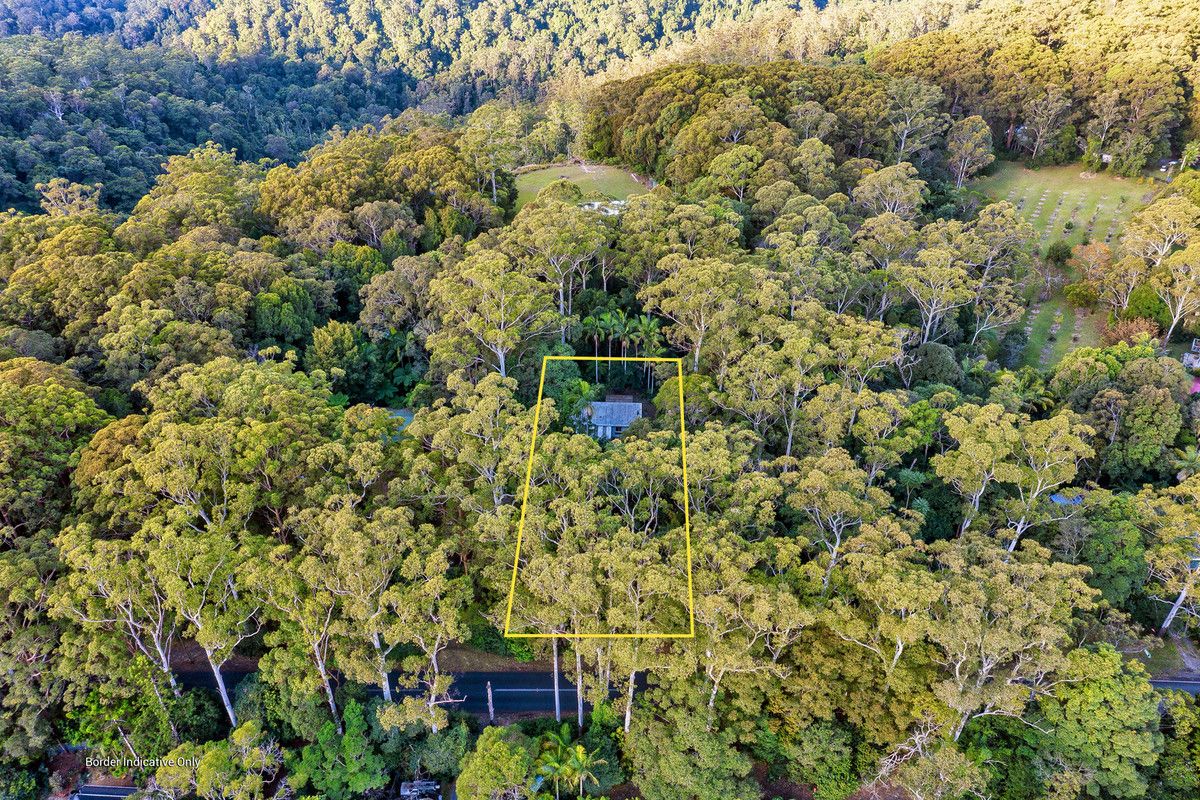 2223 Springbrook Road, Springbrook QLD 4213, Image 2