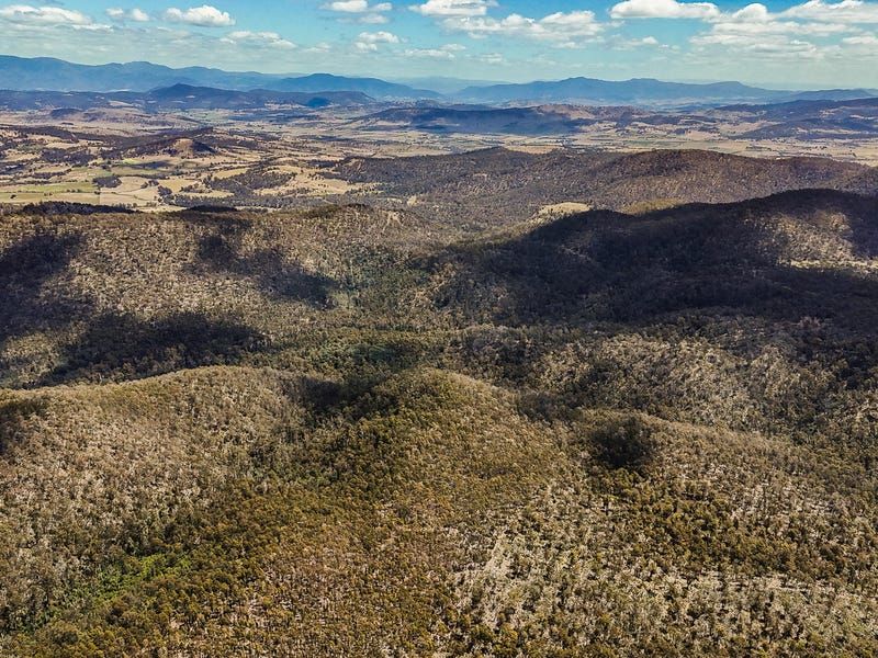 Runnymede TAS 7190 Vacant Land for Sale Domain