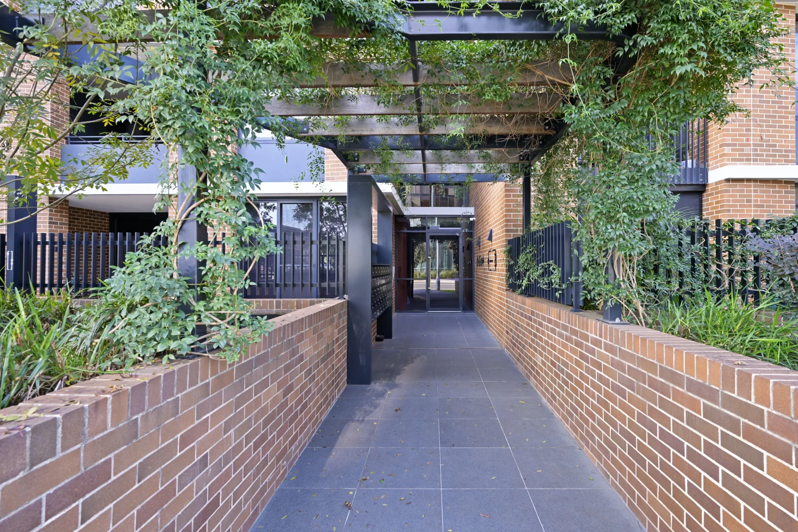 Image 8