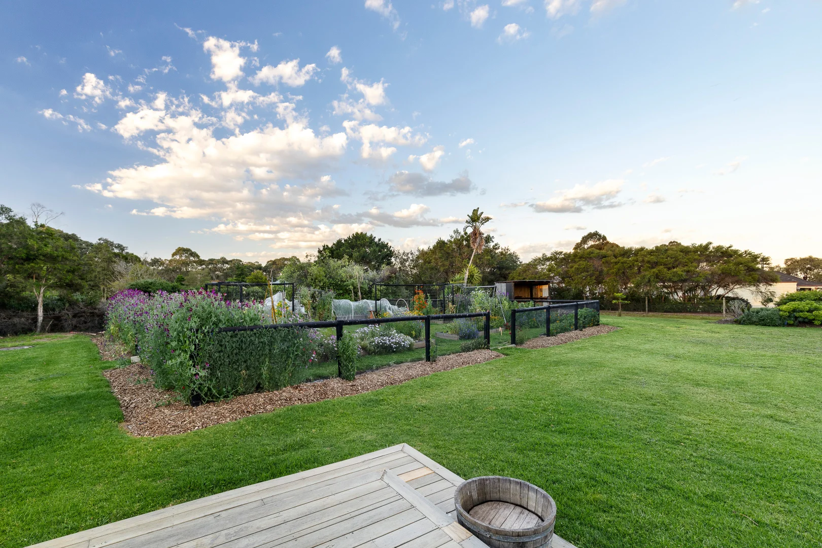 10 Cedar Rose Terrace, Bittern VIC 3918 - House for Sale | Domain