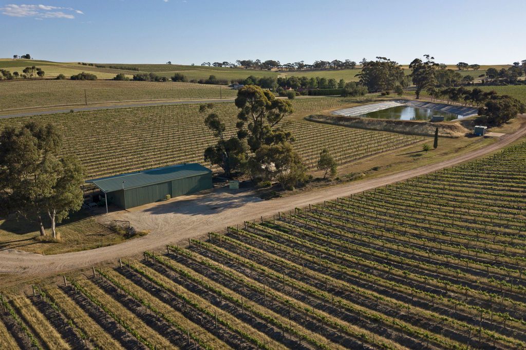 Allotment 14 Horrocks Highway, Leasingham SA 5452, Image 2