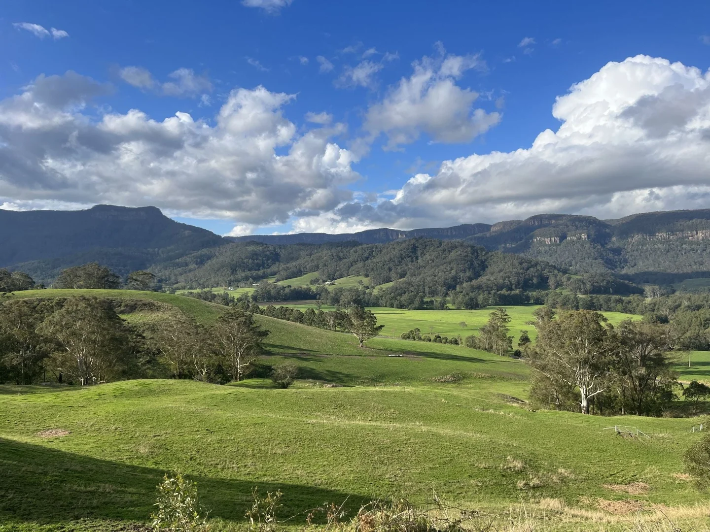 Image 13