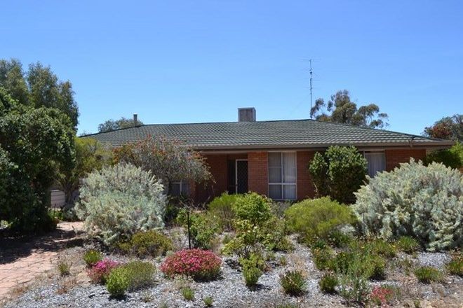 Picture of 40 Moore St, KELLERBERRIN WA 6410