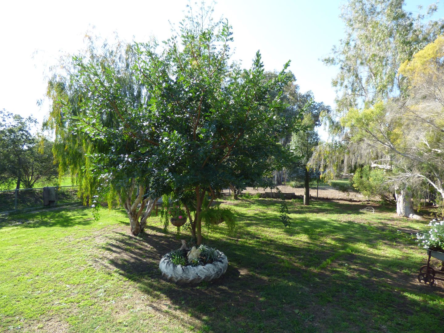 25 Lovell, Roma QLD 4455, Image 1