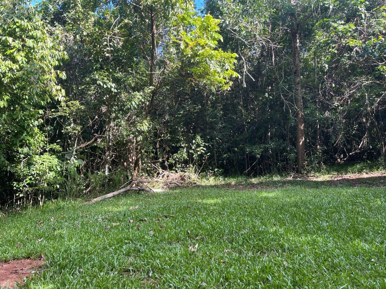 Plantation Drive, Bingil Bay QLD 4852, Image 1