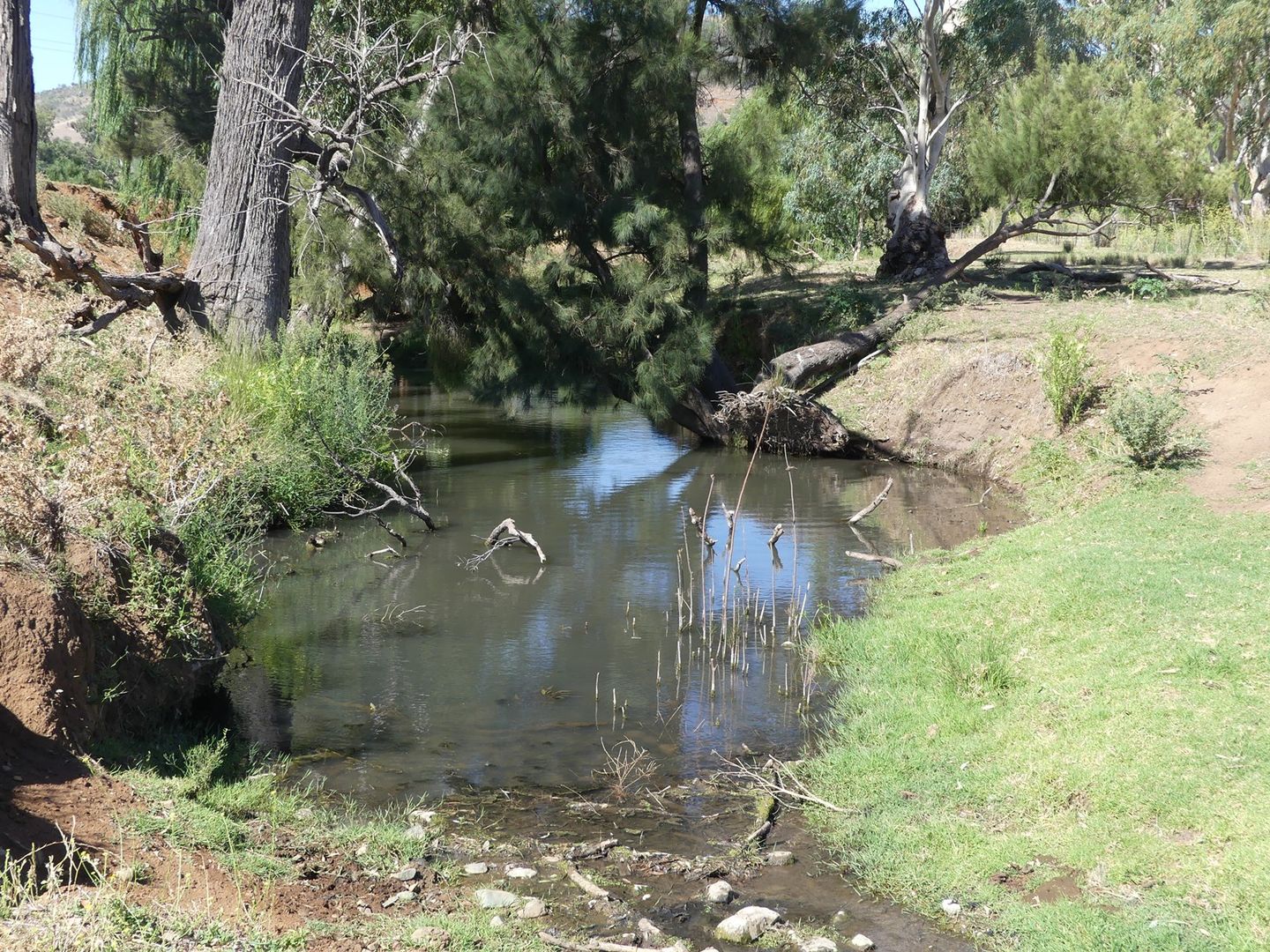 Attunga NSW 2345, Image 1