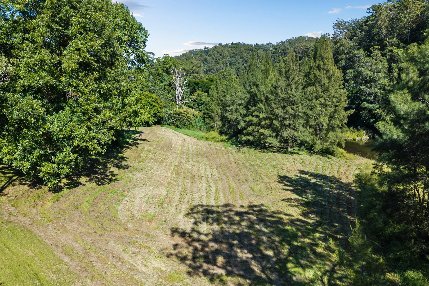 Additional image 28 of 1476 Darkwood Road, Bellingen NSW 2454