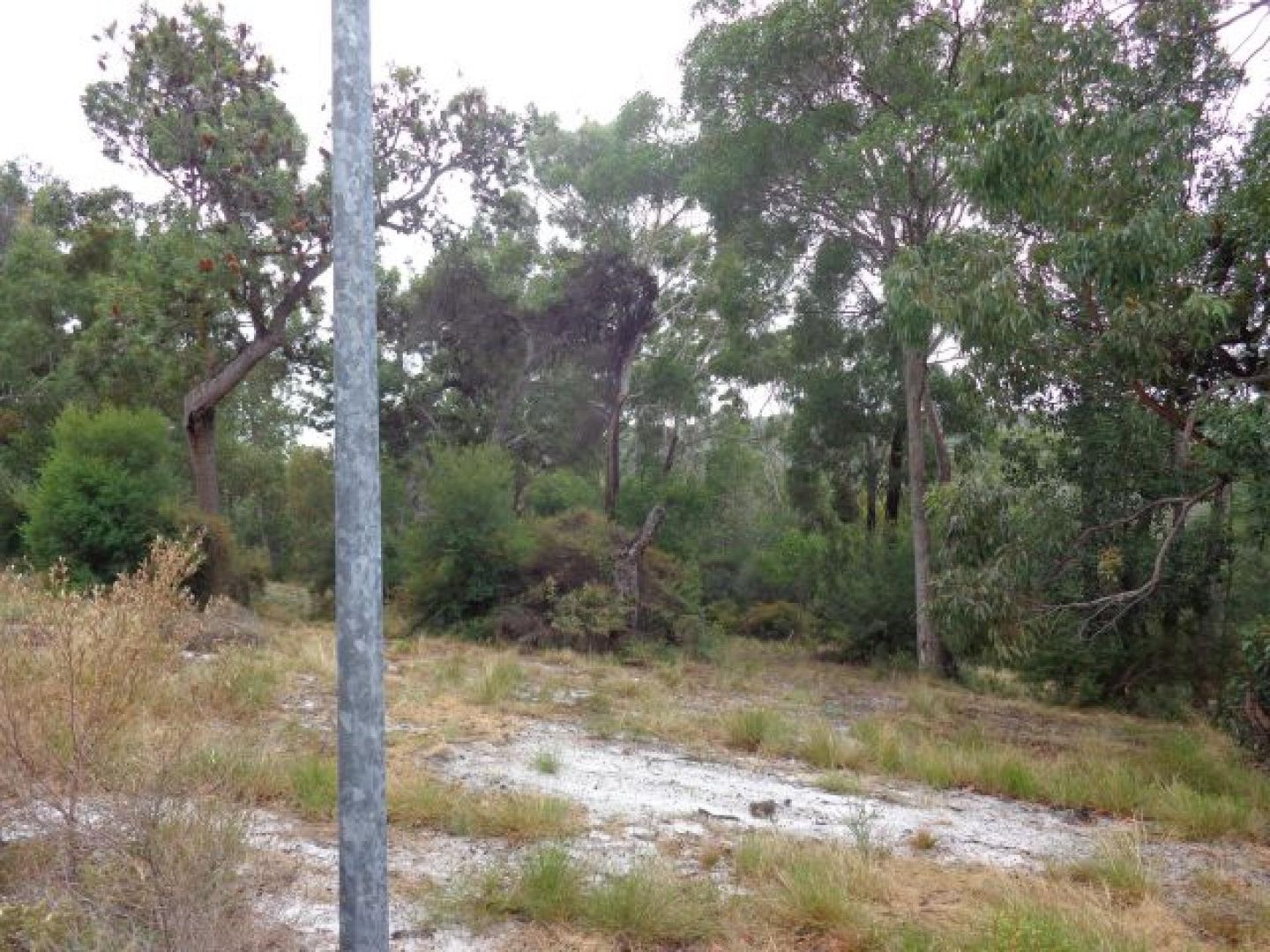 Fraser Island QLD 4581, Image 2