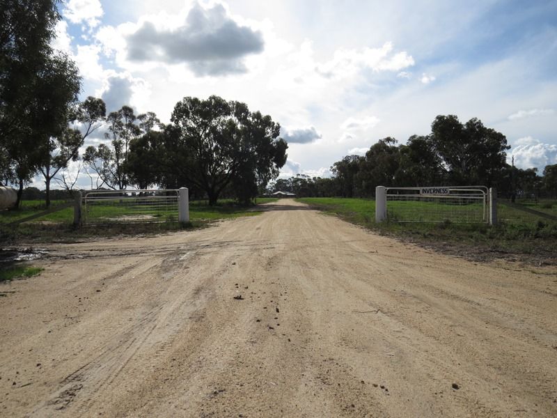 7498 Wakool Road, Barham NSW 2732, Image 2