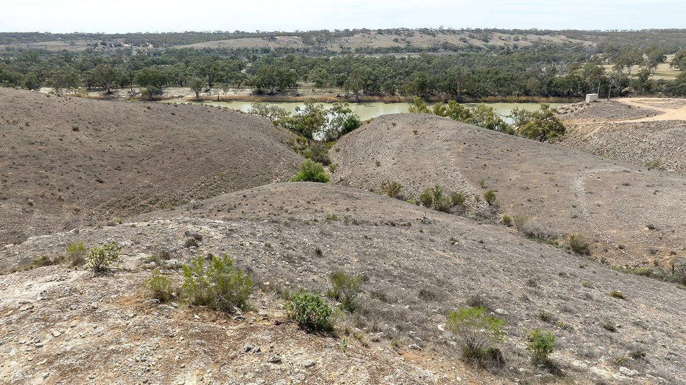 Image 15