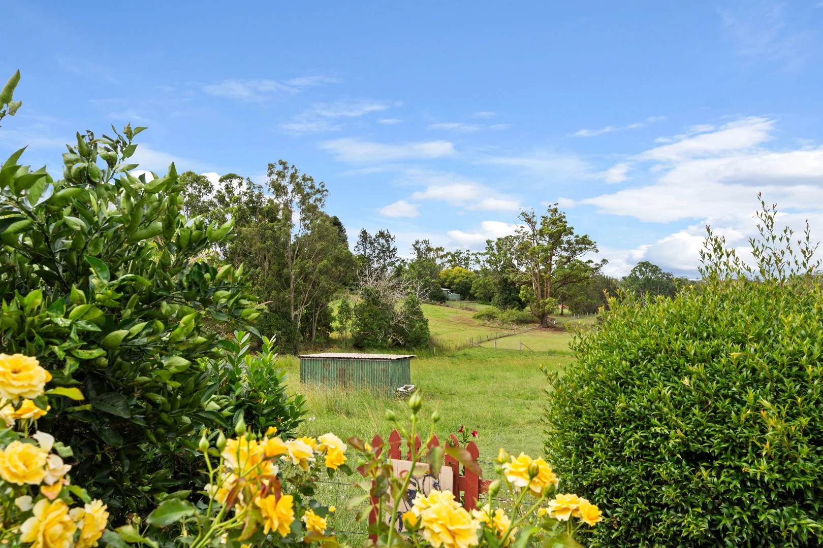 Additional image 20 of 178 Cedar Party Road, Taree NSW 2430