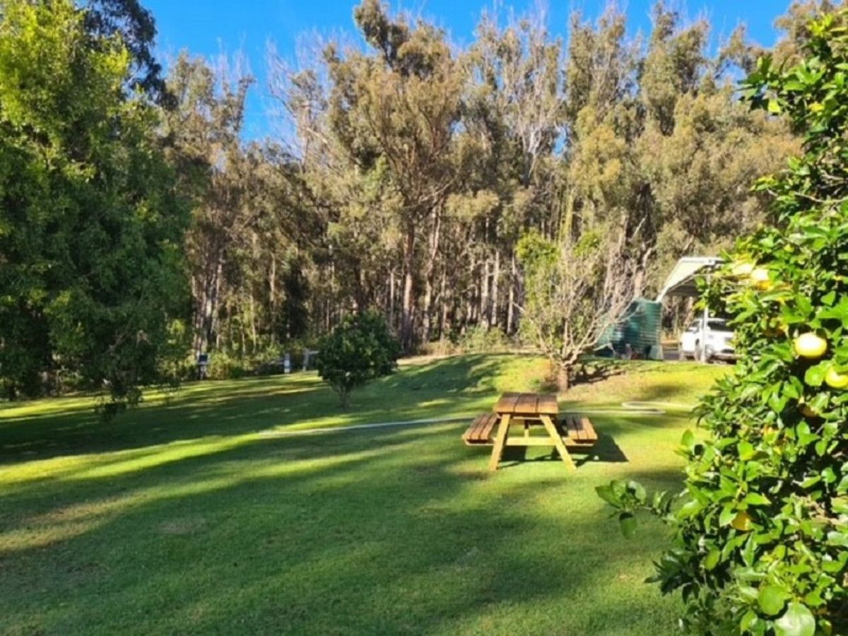 673 Acacia Scrub Road, Legume NSW 2476, Image 1