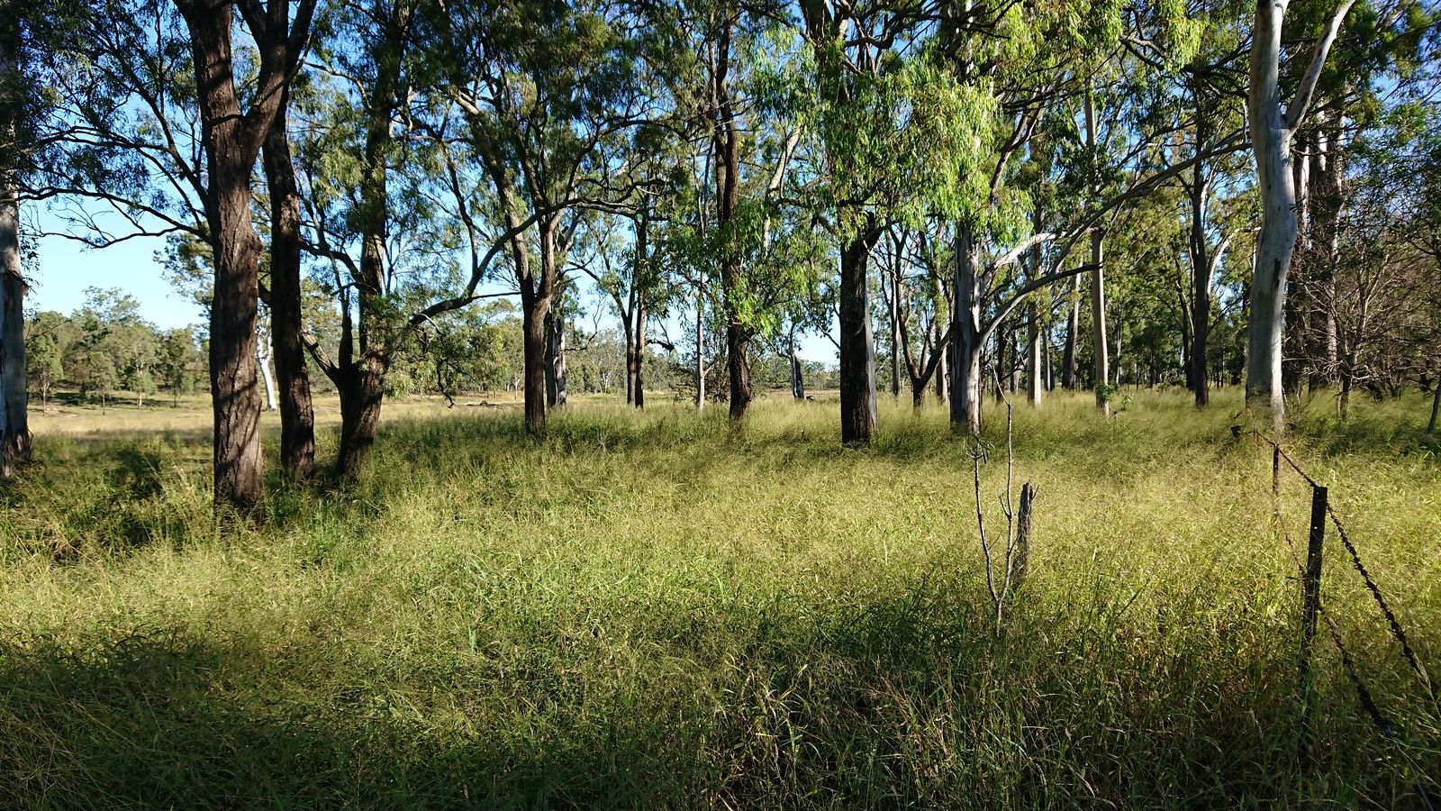 Lots 149,24,25,33 Old Ropeley Road, Lower Tenthill QLD 4343, Image 1