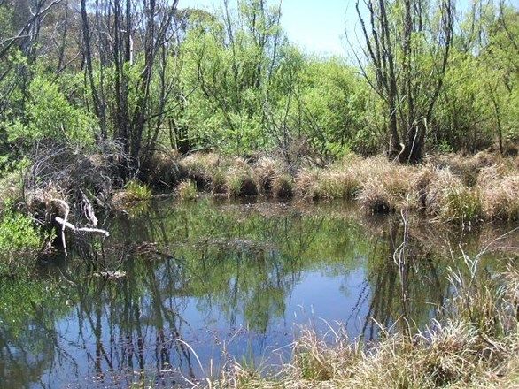 Lot 1 Nimmo Bridge, Eucumbene NSW 2628, Image 0