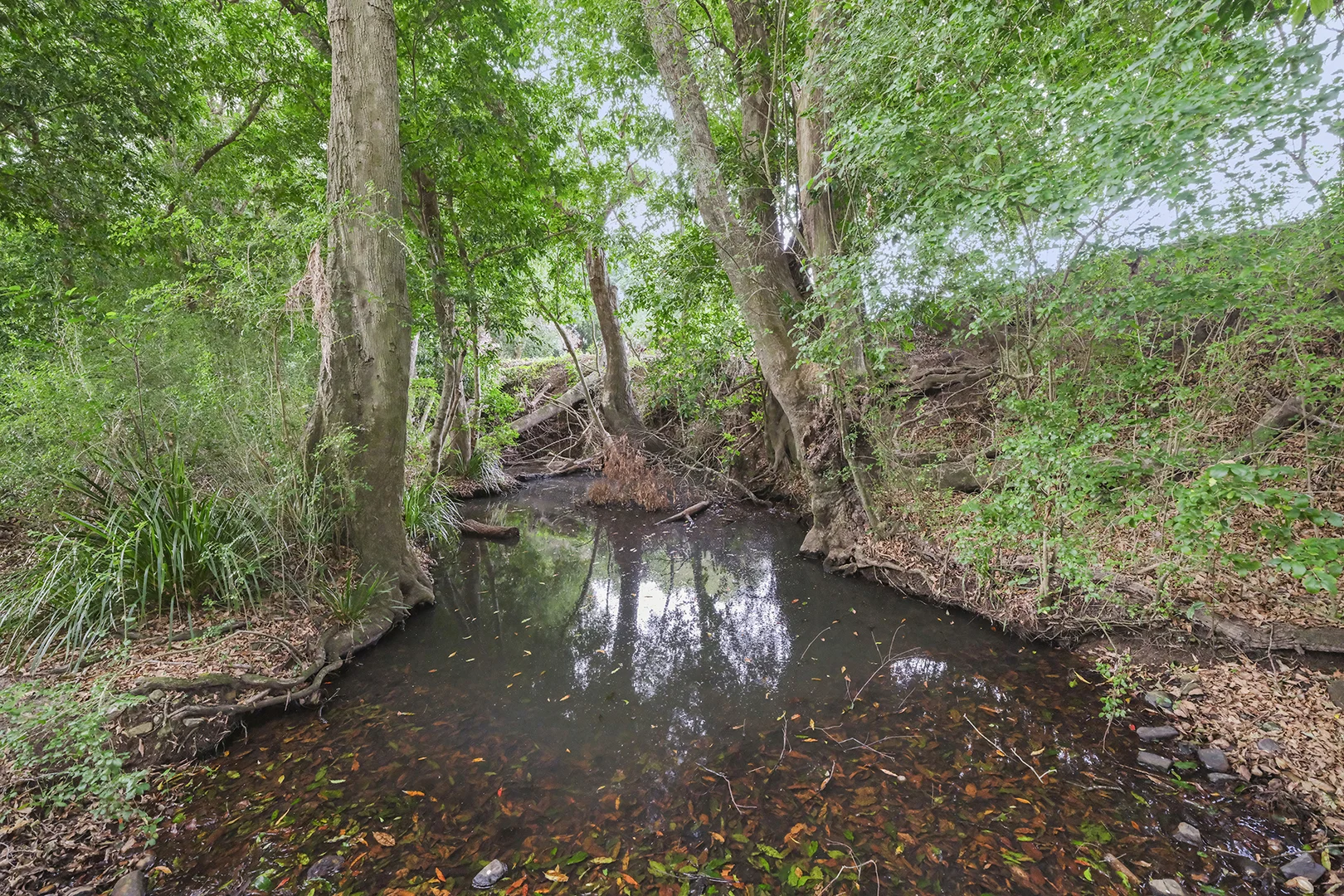 Additional image 20 of 6 Avon Street, Stroud NSW 2425