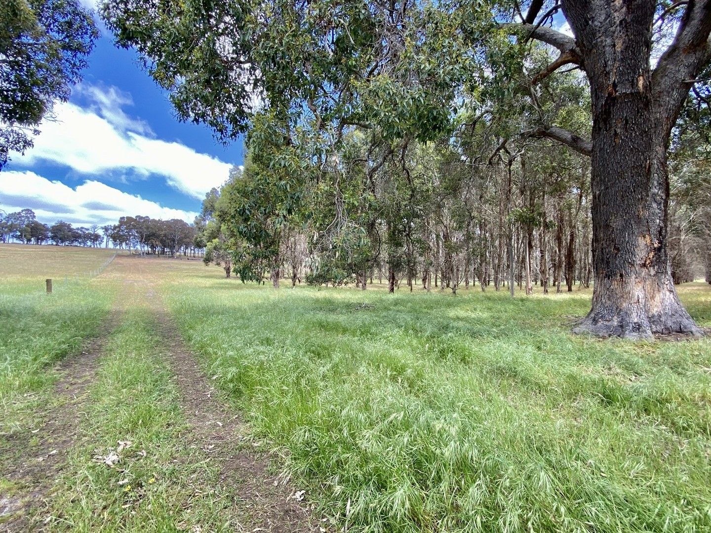 Lot 5 & 7 Six Mile Road, Mayanup WA 6244, Image 0