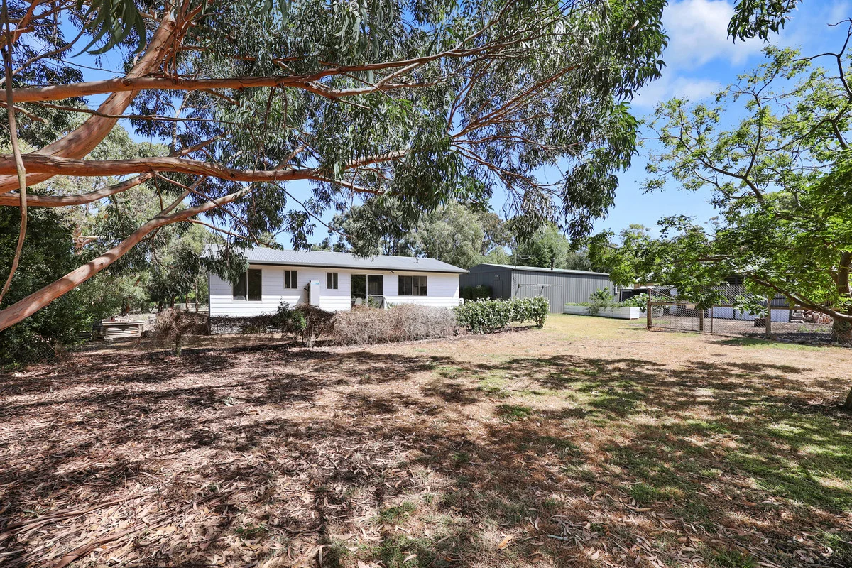 Image 13