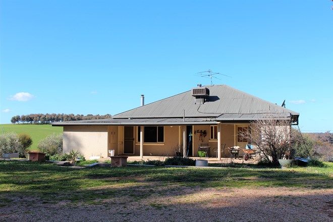 Picture of 795 Livingstone Gully Road, BIG SPRINGS NSW 2650
