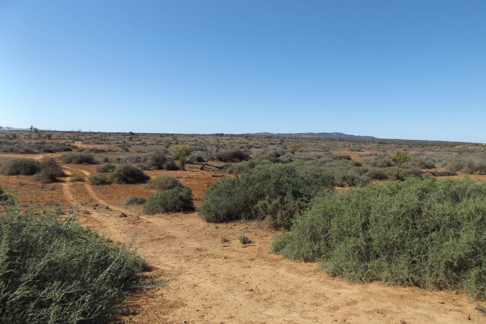 Image 11