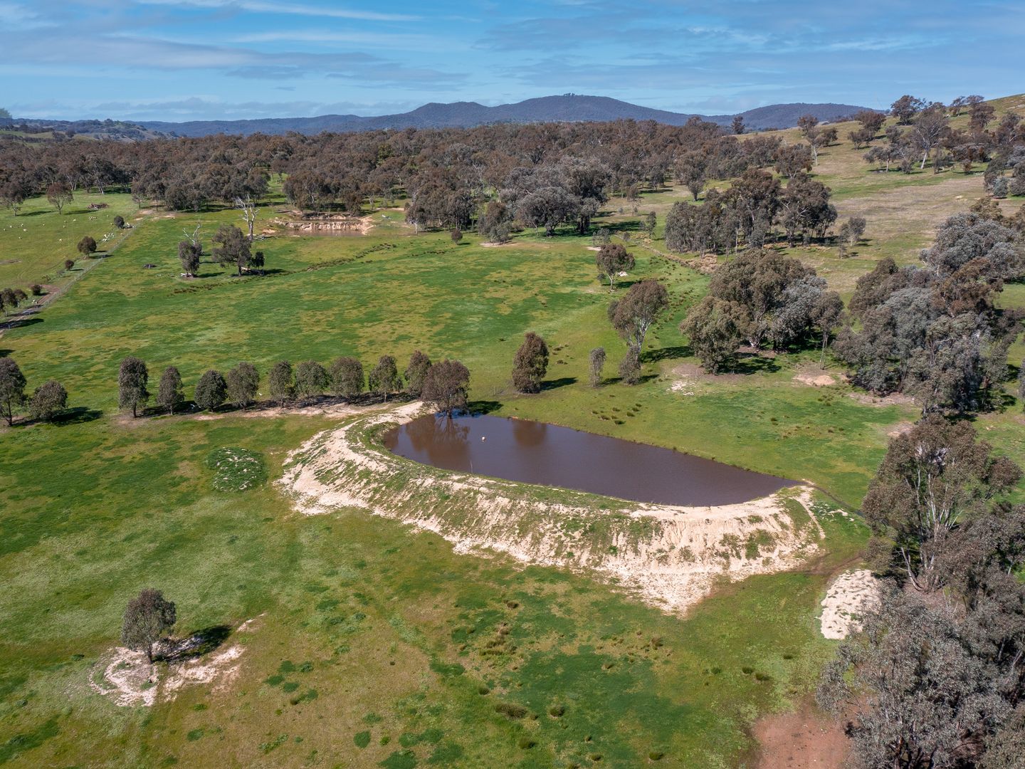 Lot 4, 54 Sweetwater Road, Mullengandra NSW 2644, Image 2