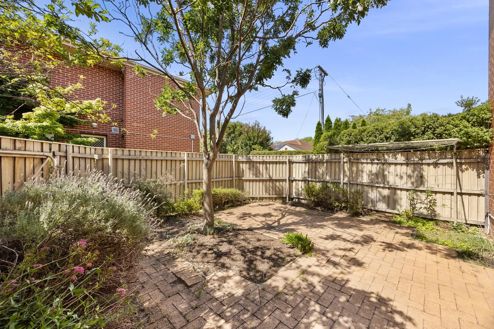 Additional image 11 of 15/10 Ijong Street, Braddon ACT 2612