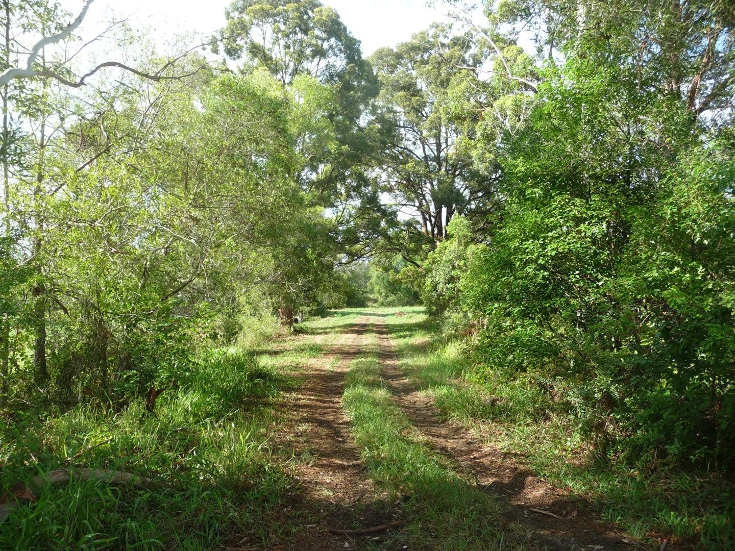 1808 Lansdowne Road, Langley Vale NSW 2426, Image 0