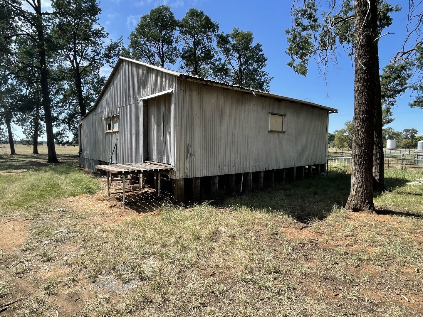 195 Broughtons Lane, Yerong Creek NSW 2642, Image 2