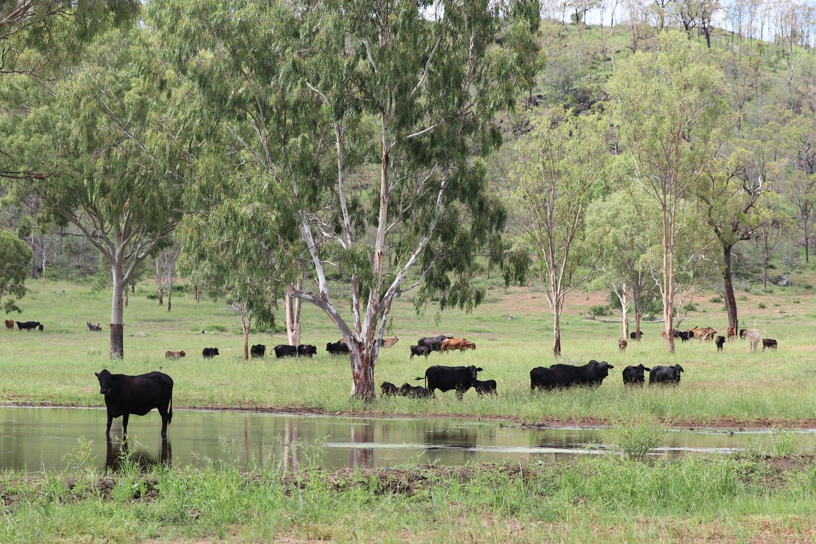 OAKEY CREEK ROAD, Oakey Creek QLD 4714, Image 0