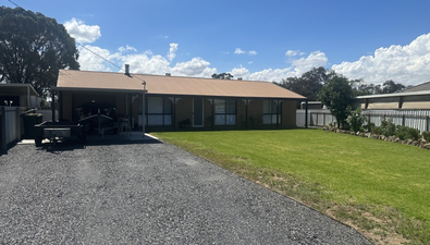 Picture of 4 Mac Trebley Place, CULCAIRN NSW 2660