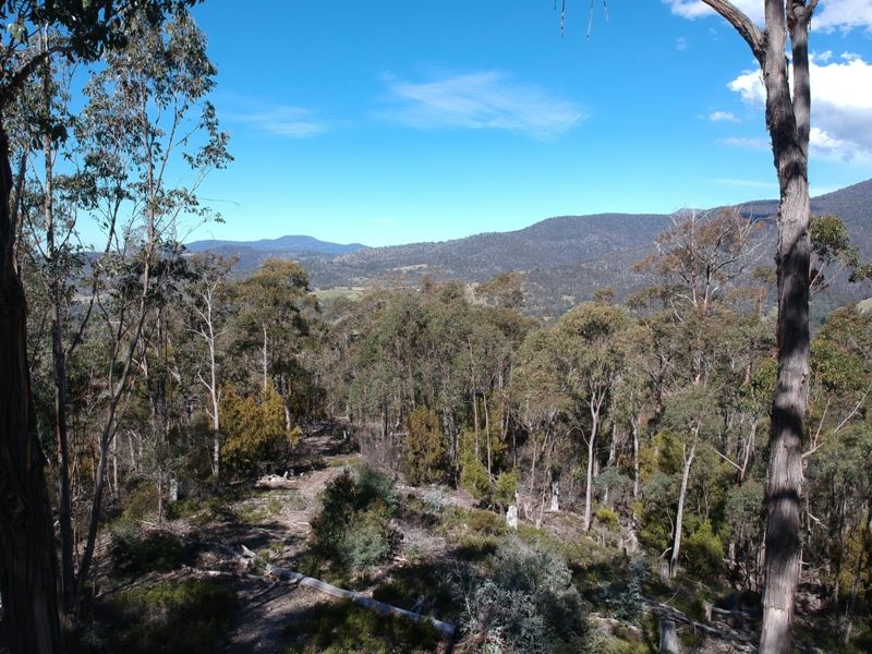 Lower Swamp Road, Lachlan TAS 7140, Image 1