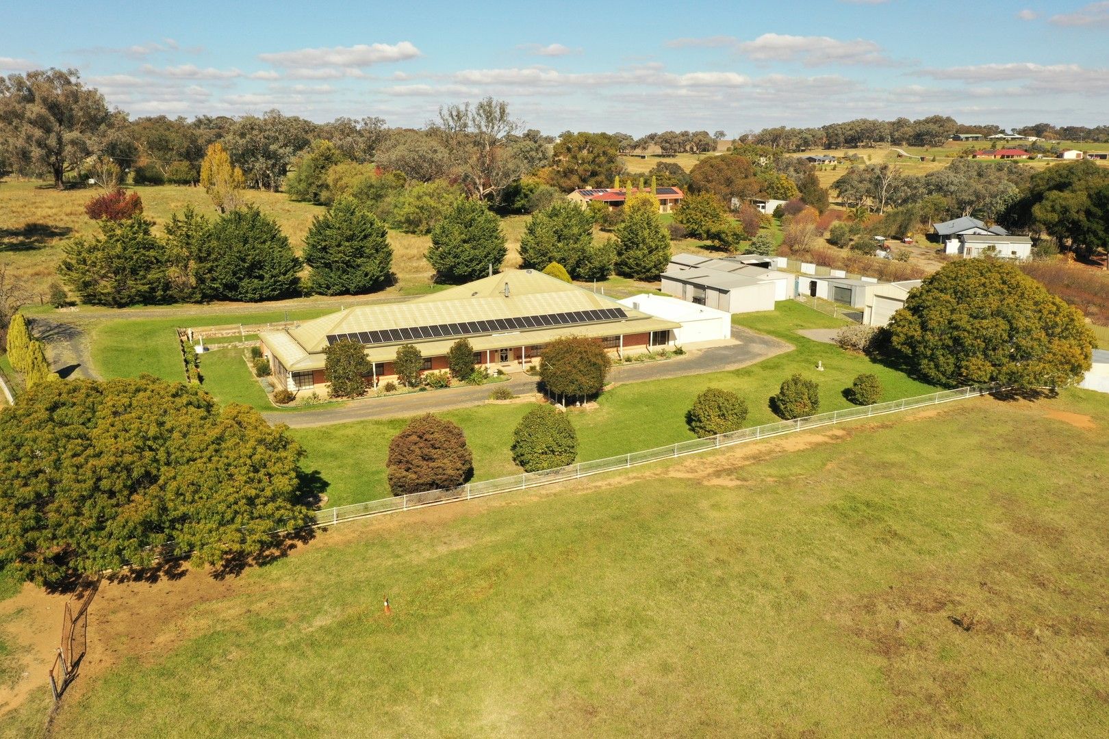 426 Back Creek Road, Young NSW 2594, Image 0