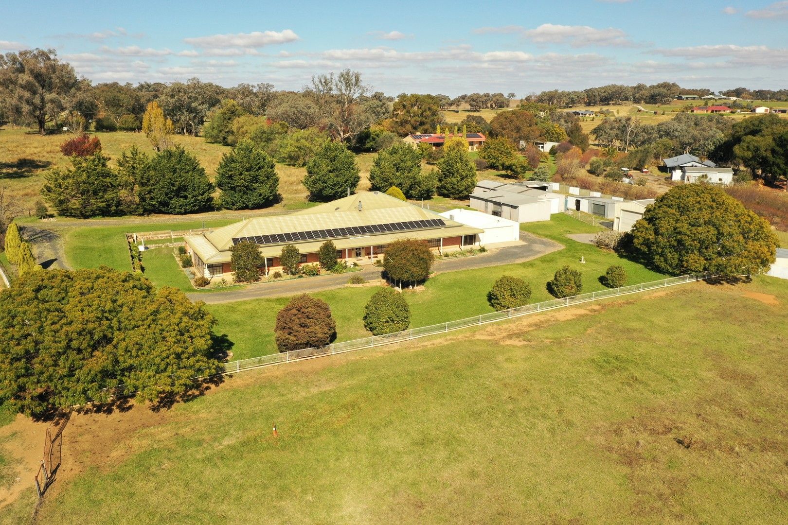 426 Back Creek Road, Young NSW 2594, Image 2