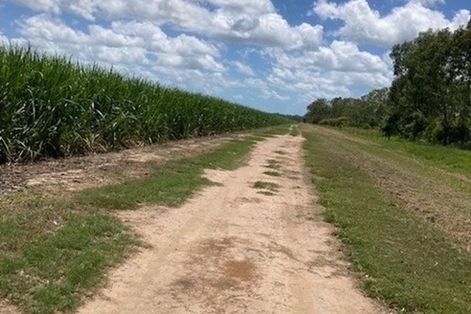 Picture of 0 Baudino Road, UPPER HAUGHTON QLD 4809