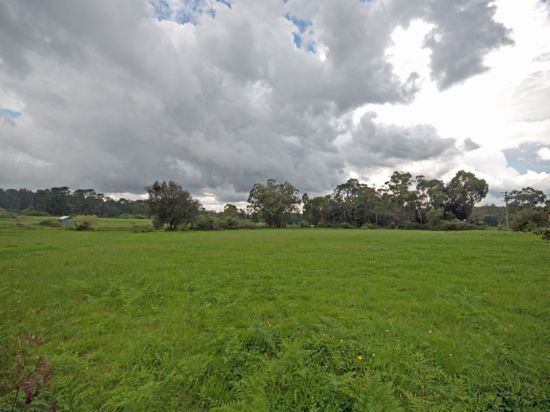 2583 Wisemans Ferry Rd, Mangrove Mountain NSW 2250, Image 0