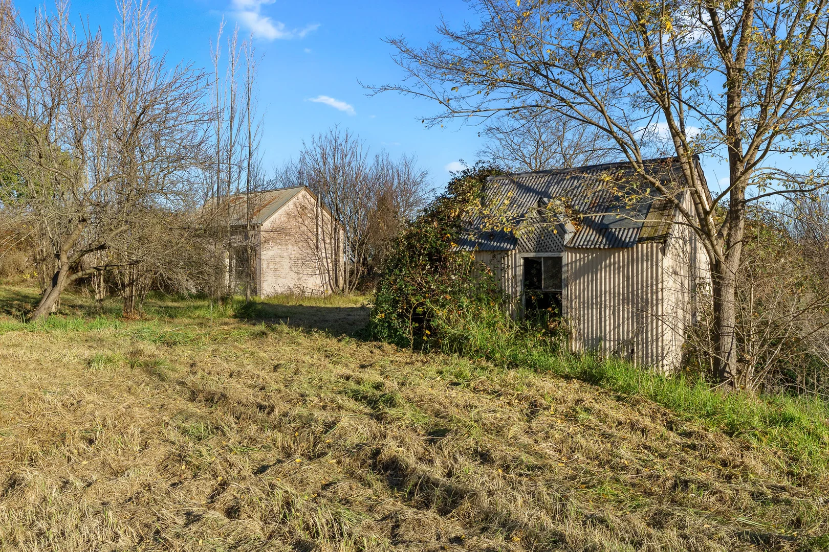 Image 20