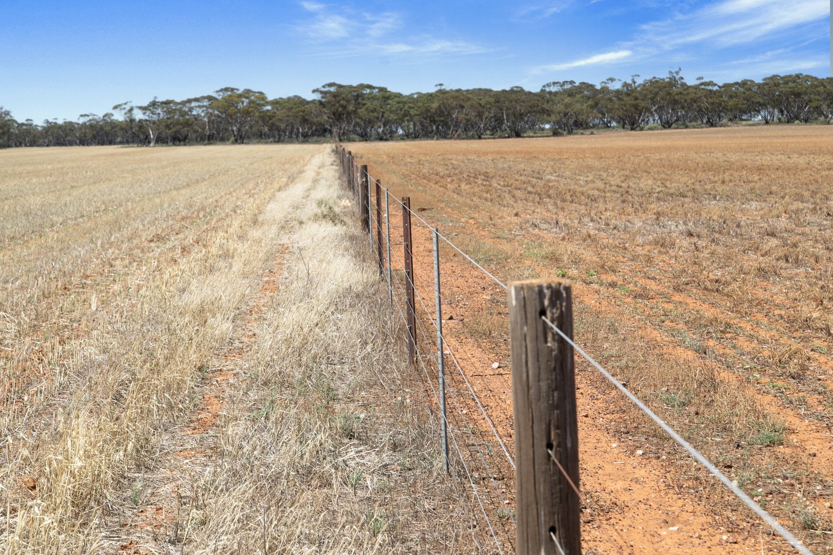 'Twigden' McCallum Road, Booleroo Centre SA 5482, Image 2