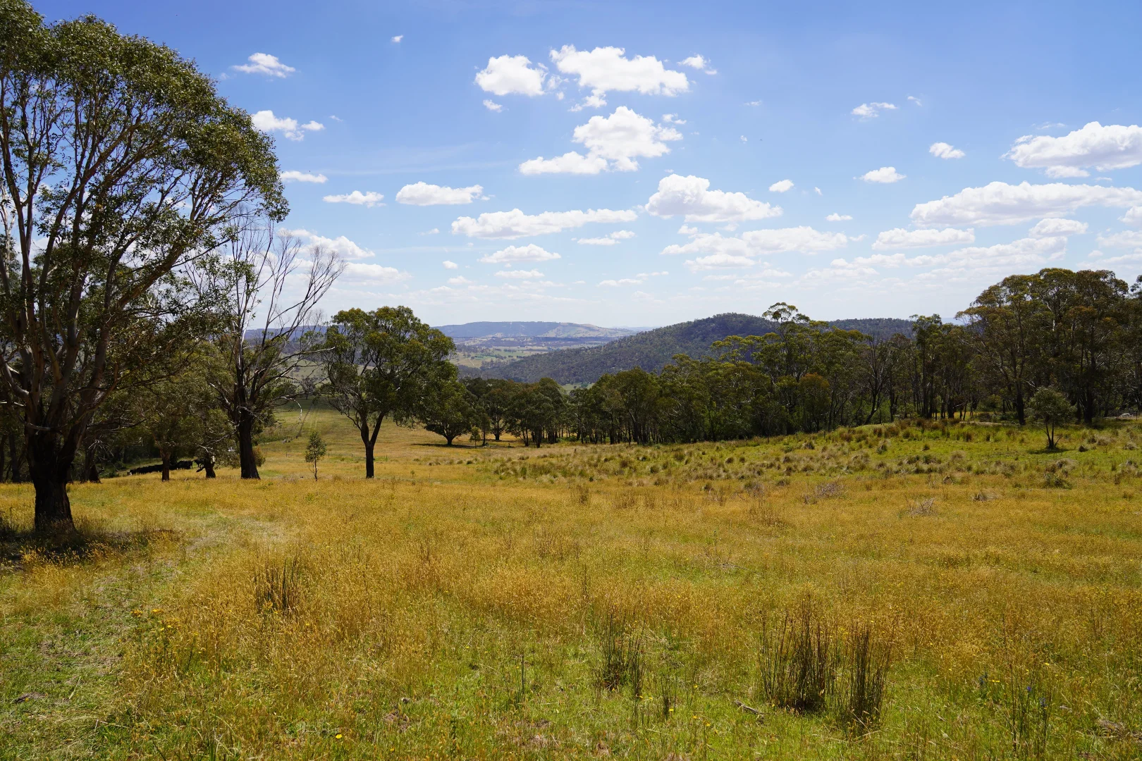 Additional image 12 of 410 Honeysuckle Falls Road, Tarana NSW 2787