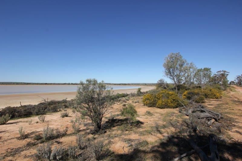 Lot 19997 Pontifex Road, Baandee WA 6412, Image 2