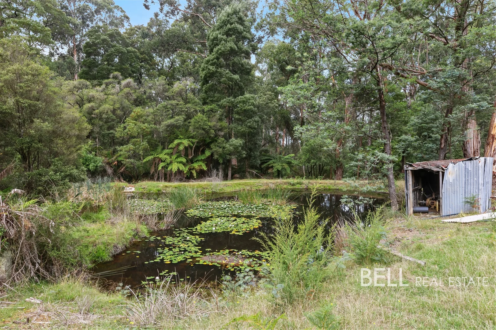 Additional image 2 of 60 Boyd Road, Gembrook VIC 3783