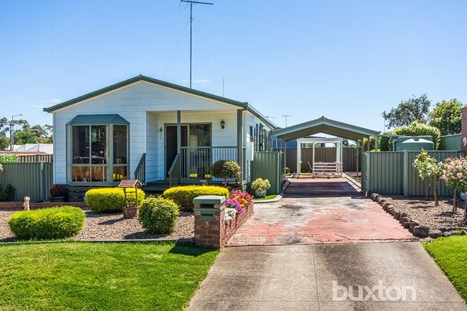 Picture of 3 Holman Court, BREAKWATER VIC 3219