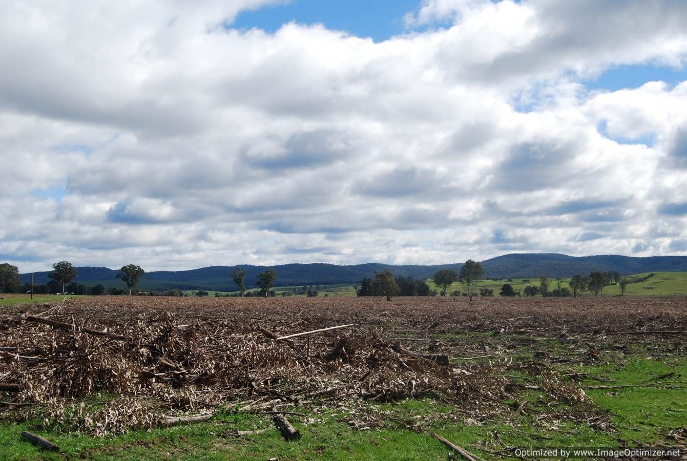 00 Stockdale-Fernbank Road, Stockdale VIC 3862, Image 0