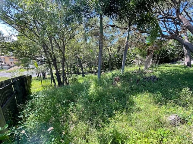 Image 7