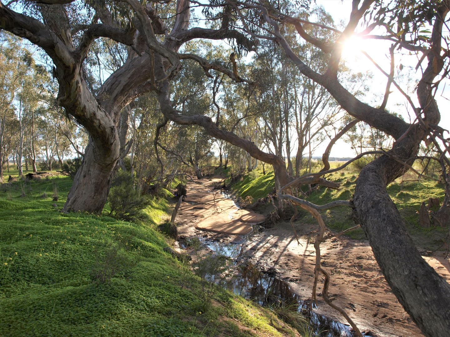 8A, B & C Sloans Road, Powlett Plains VIC 3517, Image 1