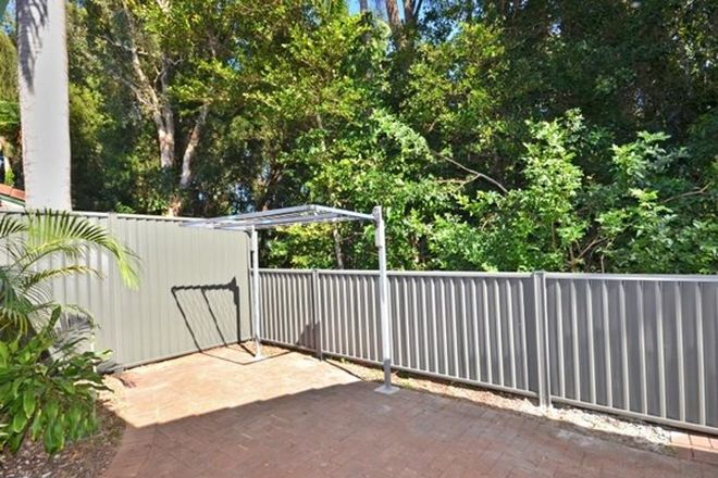 Picture of 2/ 38 Tallow Wood Drive, KULUIN QLD 4558
