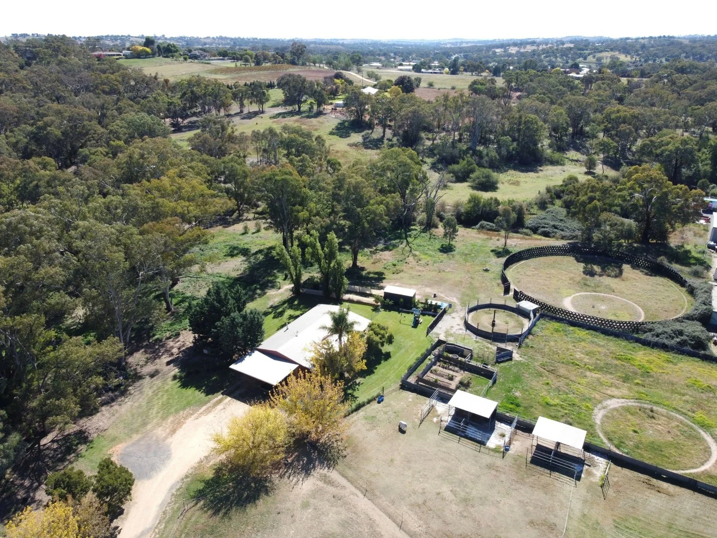 56 Spring Creek Road, Young NSW 2594