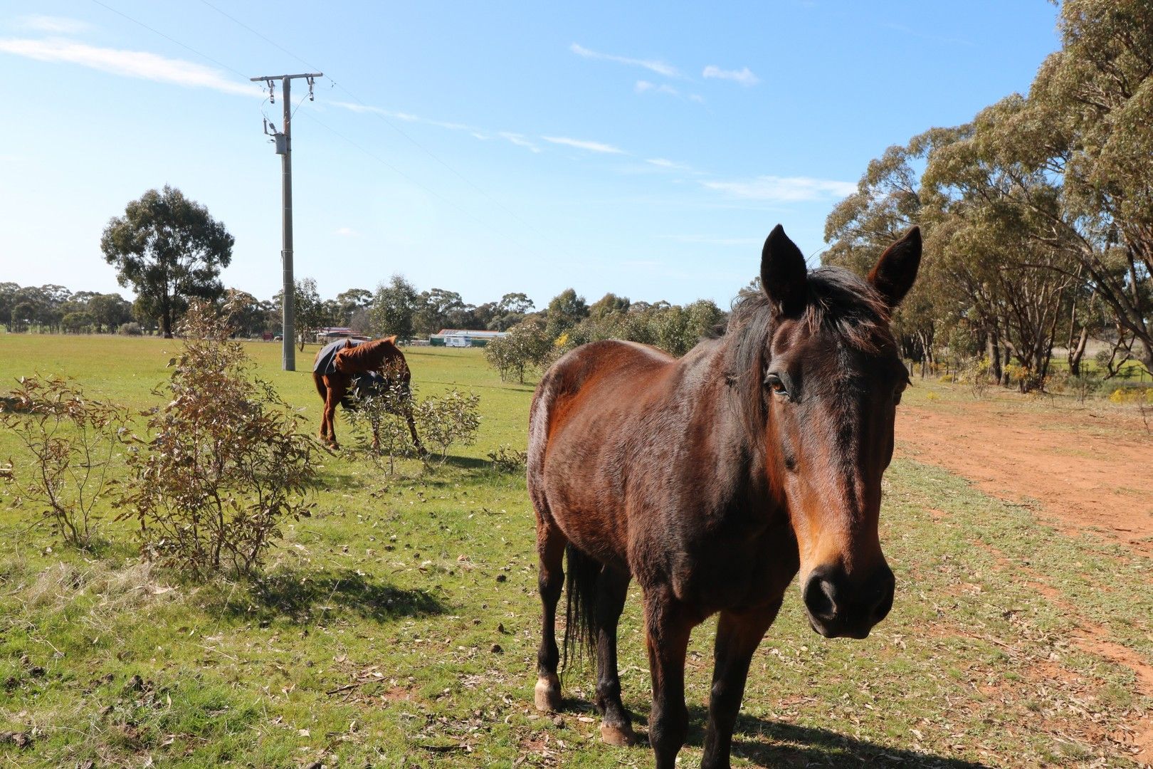 Lot 1 Scotts - Titwobble Lane, Wedderburn VIC 3518, Image 0